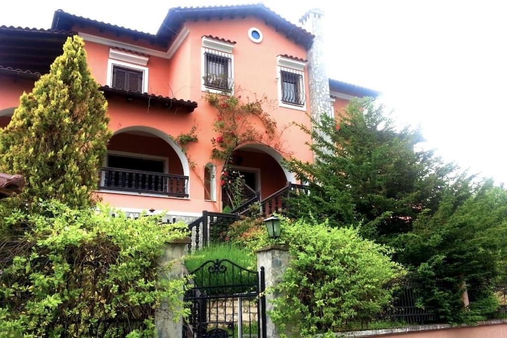 Villa Tethys Mountain Resort 자카스 외부 사진