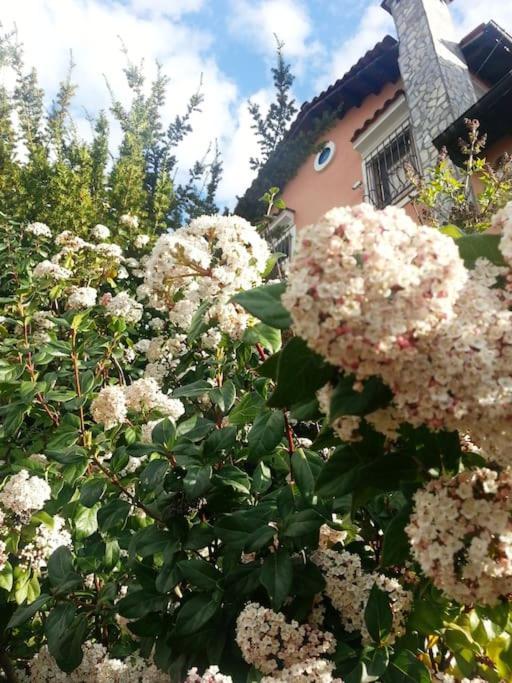 Villa Tethys Mountain Resort 자카스 외부 사진