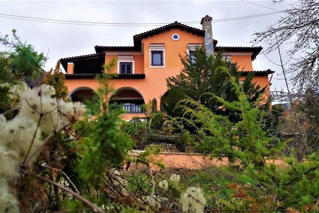 Villa Tethys Mountain Resort 자카스 외부 사진
