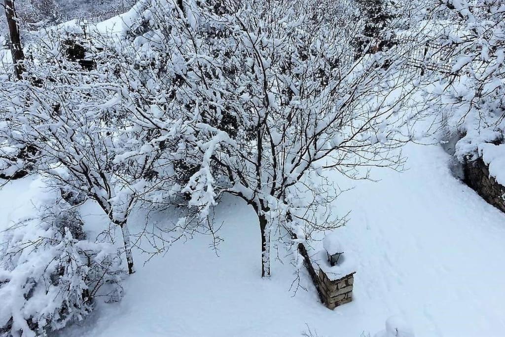 Villa Tethys Mountain Resort 자카스 외부 사진