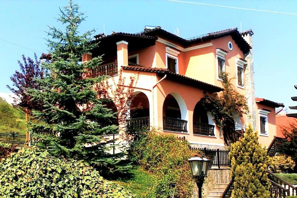 Villa Tethys Mountain Resort 자카스 외부 사진