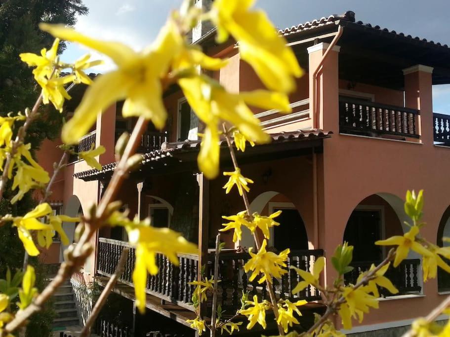 Villa Tethys Mountain Resort 자카스 외부 사진